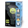 E27 Mini Globe Glas 250Lm 2 Watt (25W) 2700K