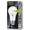 E27 Classic Globe 806Lm 8,5 Watt (60W) 2700K Auto Sensor
