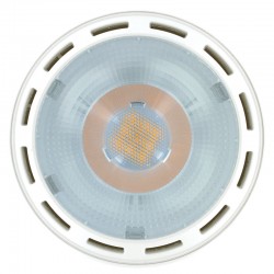 PAR38 1100Lm 14 Watt (109W) 2700K Dæmpbar