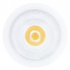 PAR38 1400Lm 15 Watt (135W) 2700K IP65