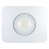 Compact-Tough Floodlight 30 Watt 4000K 2700Lm Hvid