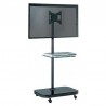 reflecta TV Stand 37P-Shelf