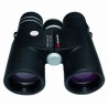 BRAUN Premium 10X42 WP